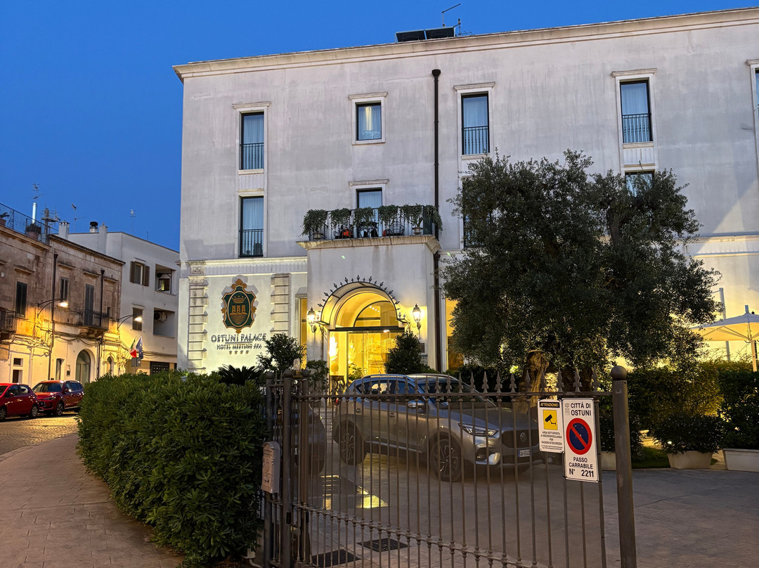 奥斯图尼宫酒店主图