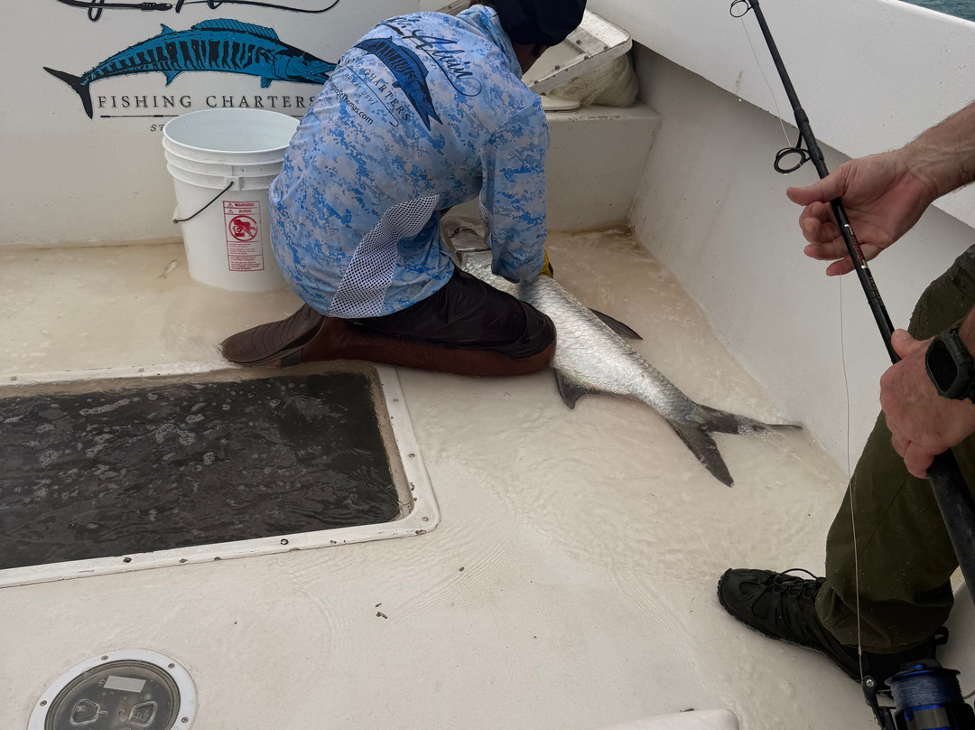 Capt. Alvin Fishing Charters-圣 托马斯必去景点