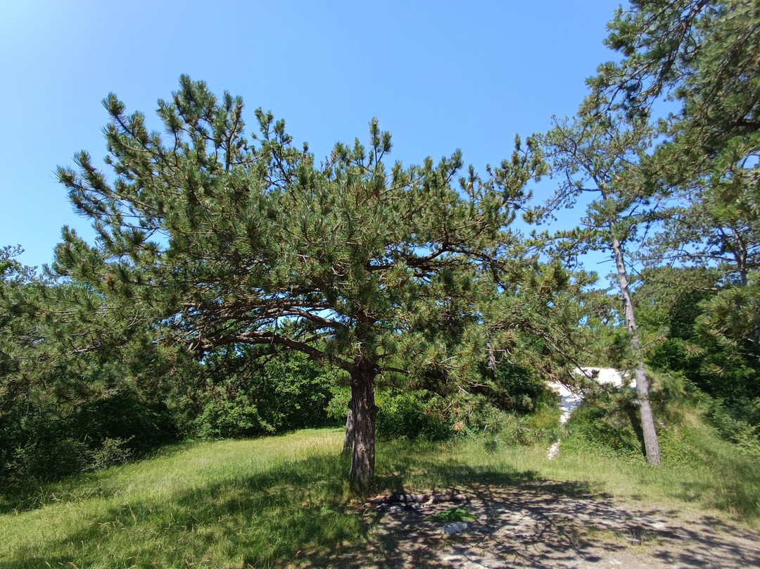 Le Sentier Botanique D'ezy-sur-eure