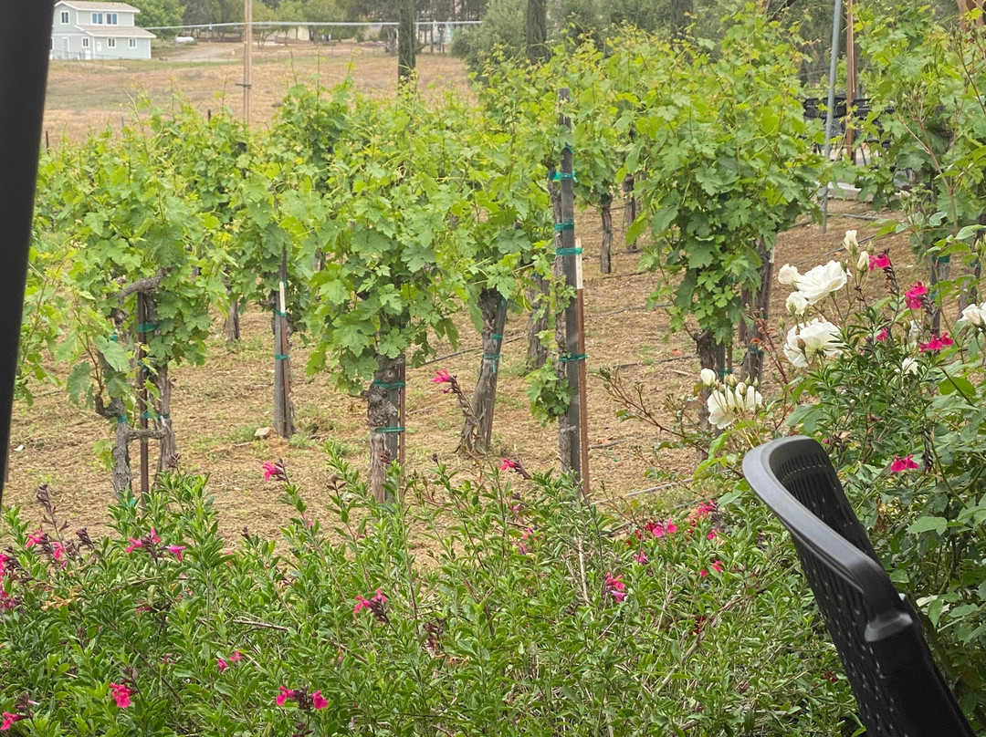 Lorenzi Estate Vineyards and Winery-特曼库拉必去景点