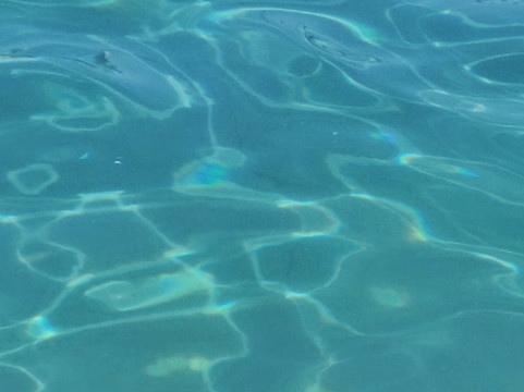 Esperanza Charter-圣庞沙必去景点