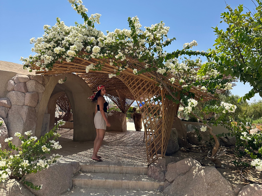 Mama Gaia Beach Club-亚喀巴必去景点