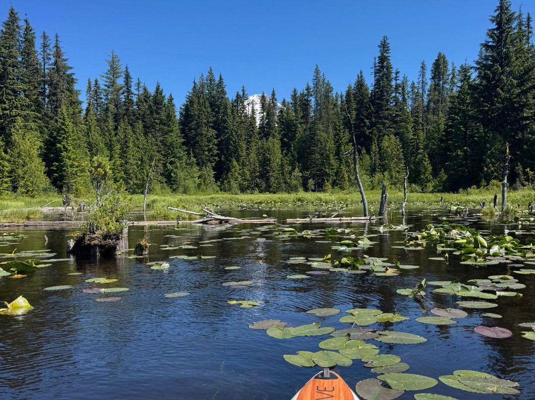 延龄草湖-Government Camp必去景点