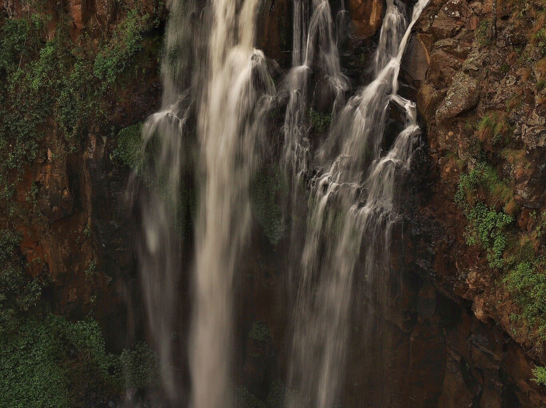 Dagg Falls Lookout-Killarney必去景点