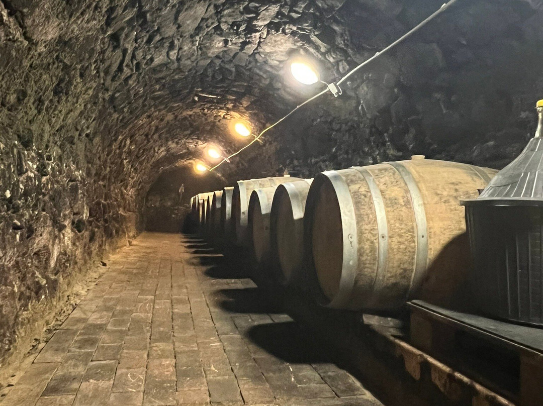 Hímesudvar-Tokaj必去景点