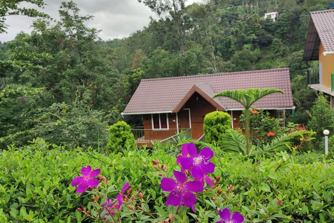 Don's River Valley Jungle Resort