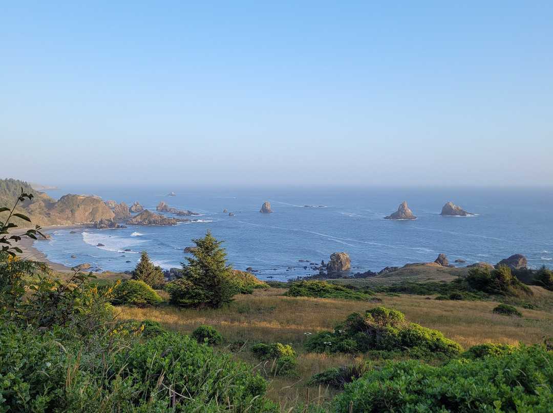Cape Ferrelo Viewpoint-布鲁金斯必去景点