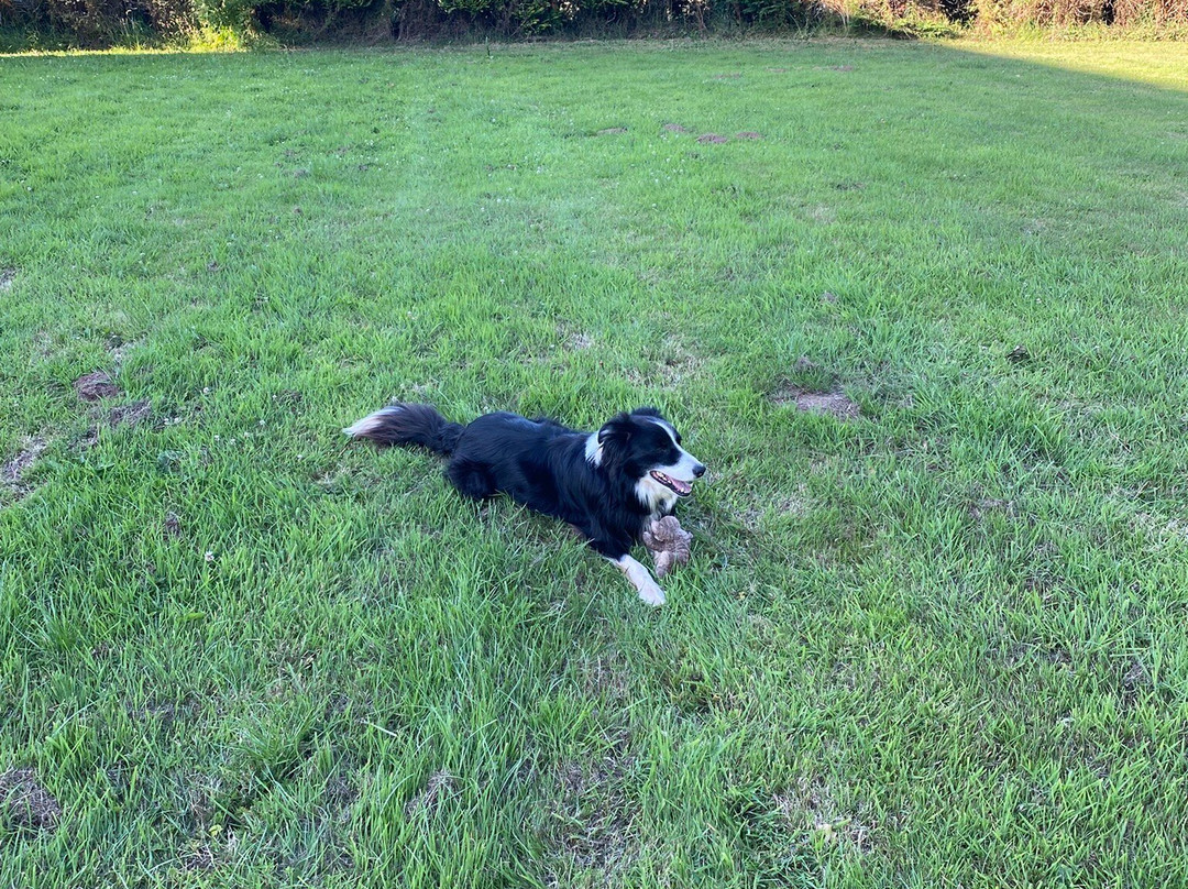 Lower Thornton Farm主图