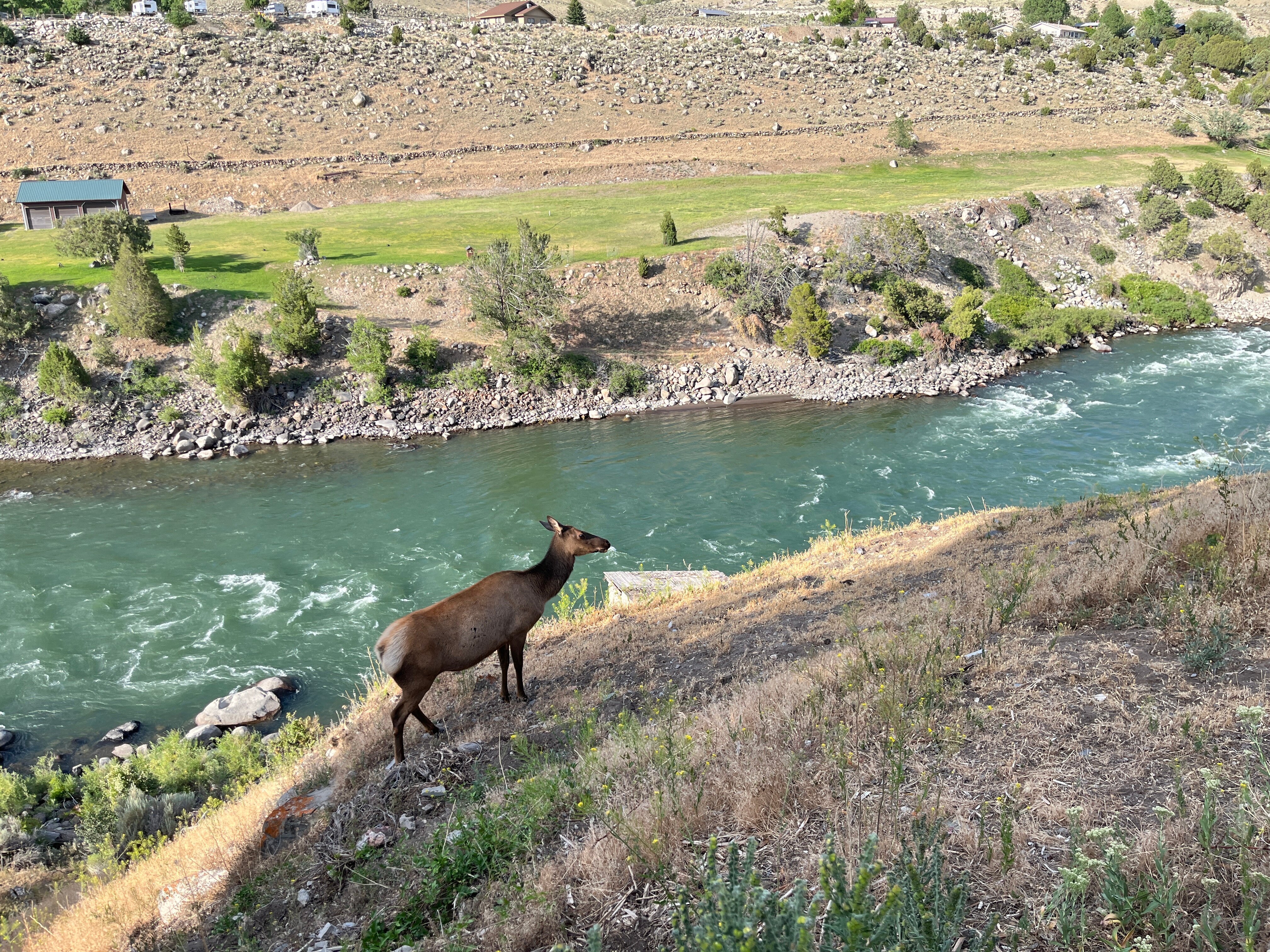 Yellowstone River Motel-酒店景观
