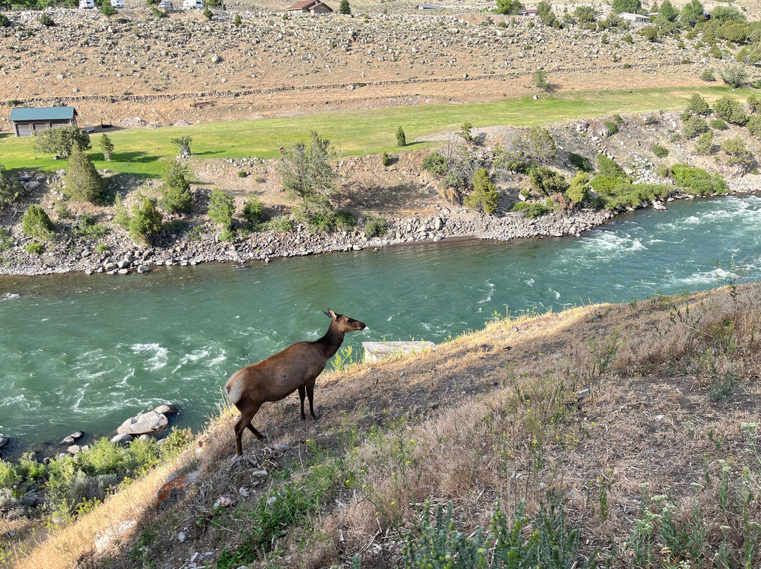 Yellowstone River Motel主图