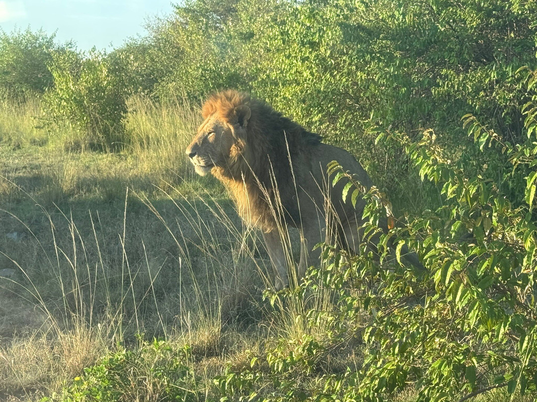 Twende Development and Travel-Eldoret必去景点