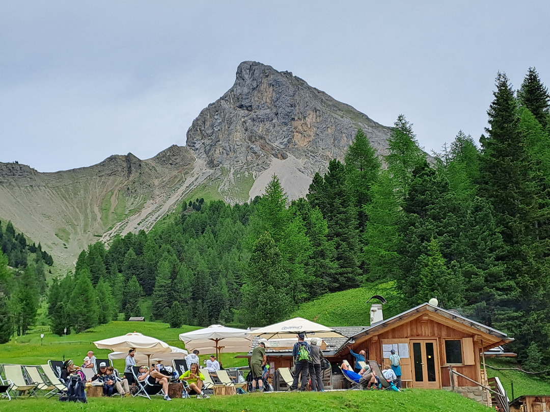 Alpen Hotel Panorama主图