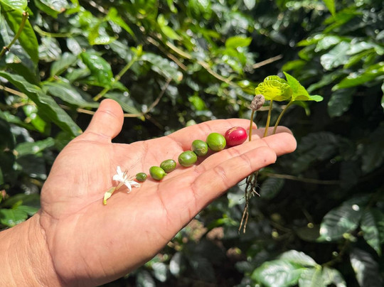 Panamadventure Travels and Tourguide services-波魁特必去景点