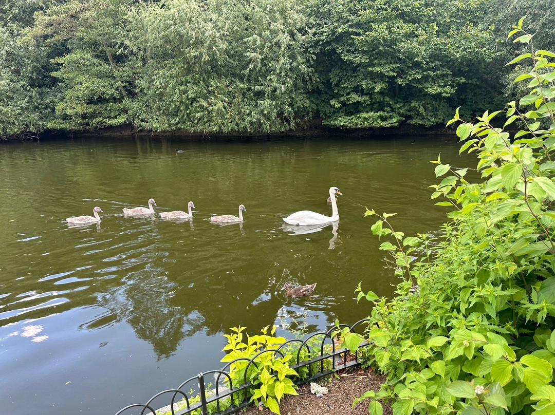 The London Pass® by Go City-伦敦必去景点