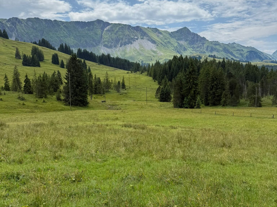 Bergbahnen Sörenberg-Sorenberg必去景点