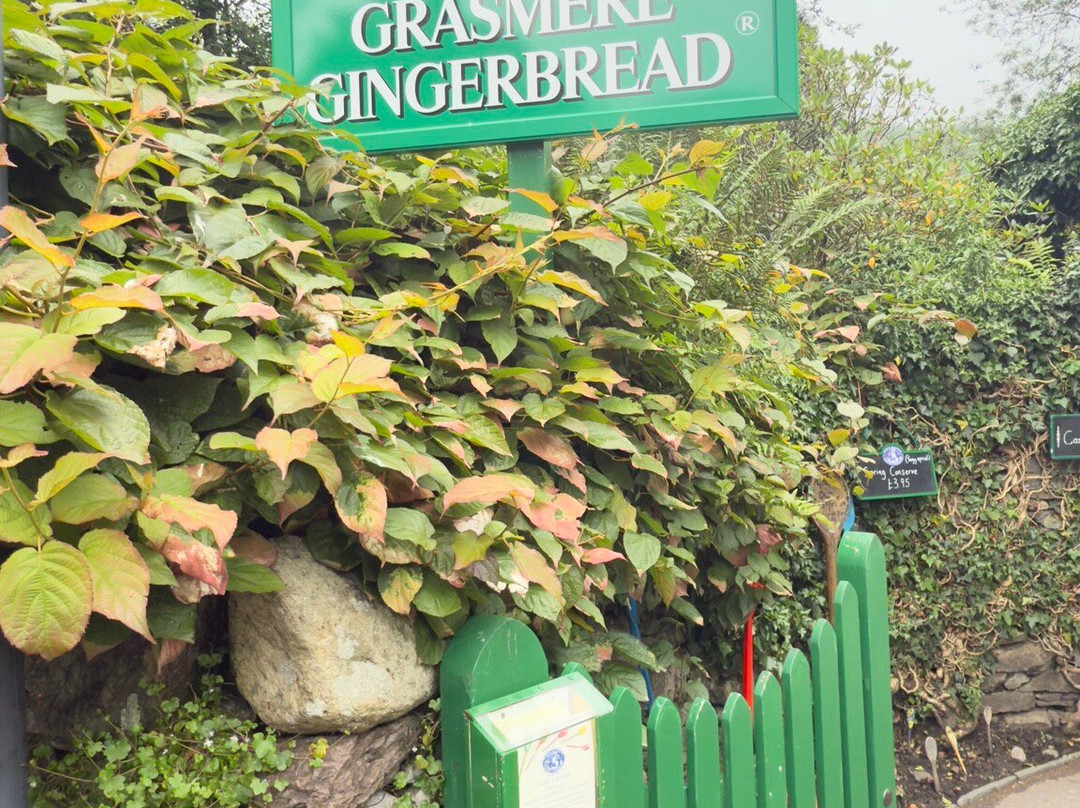 The Grasmere Gingerbread Shop-Grasmere必去景点