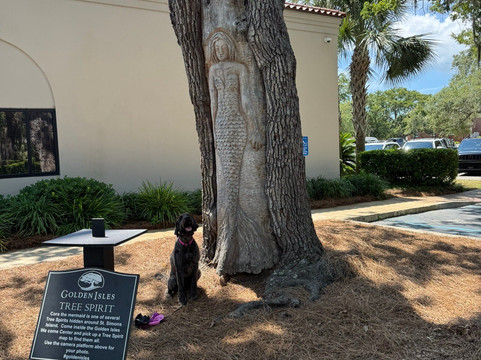 Tree Spirits of St. Simons Island-圣西蒙斯岛必去景点