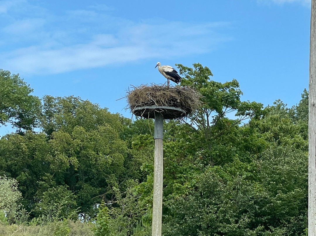 Het Zwin Natuur Park-克诺克－海斯特必去景点