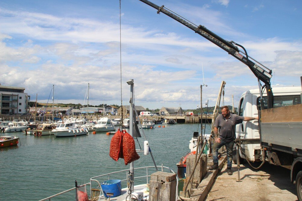 West Bay Harbour-West Bay必去景点