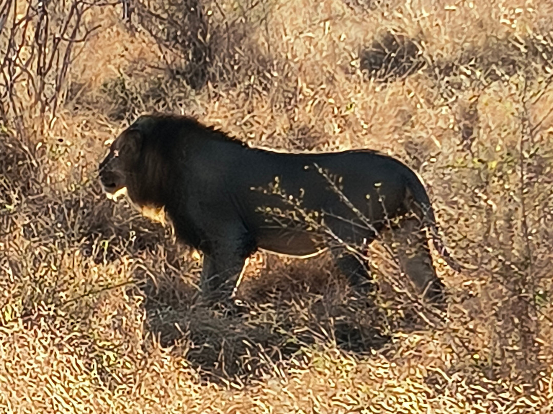 Discover Kruger Safaris-库马堤港必去景点