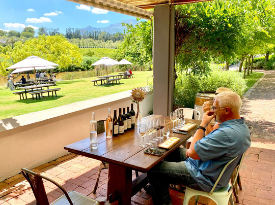 Vine Root Tours-斯泰伦博斯必去景点