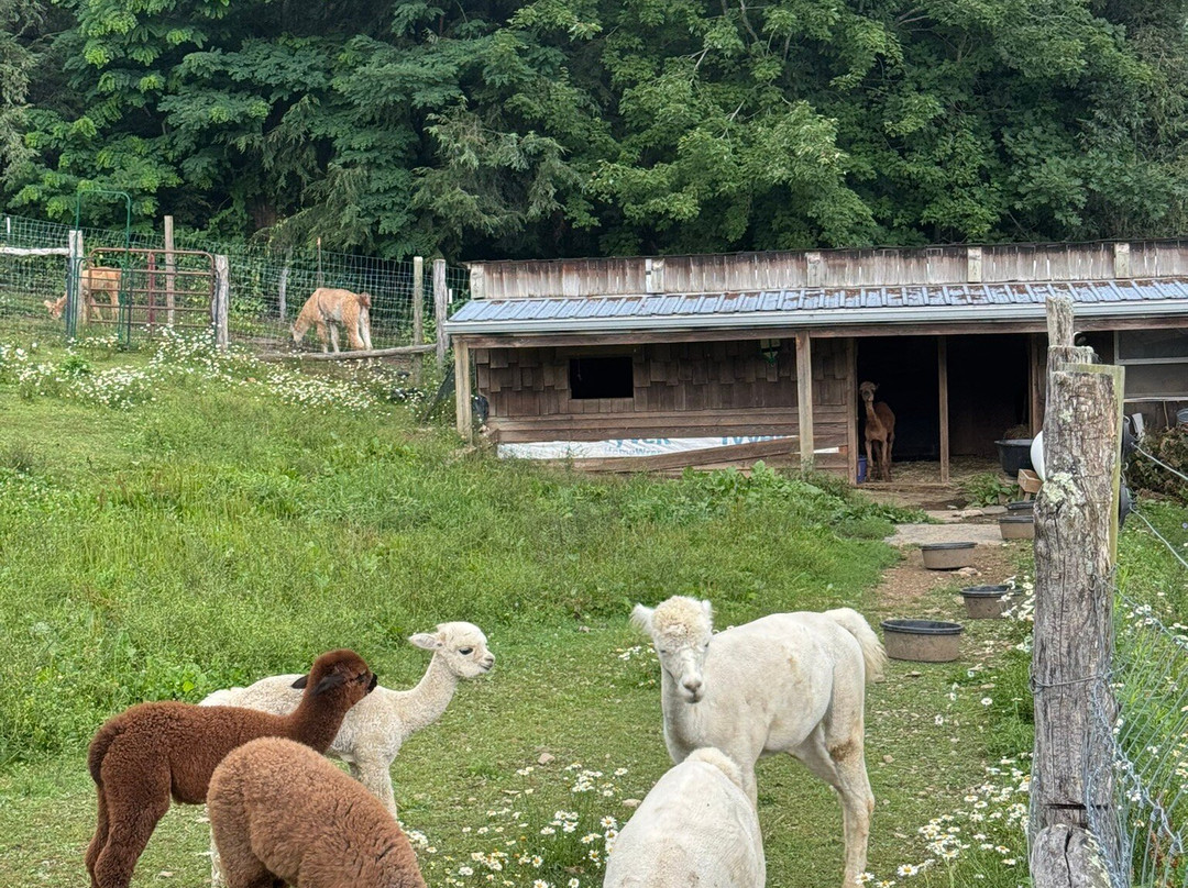Apple Hill Farm-Banner Elk必去景点