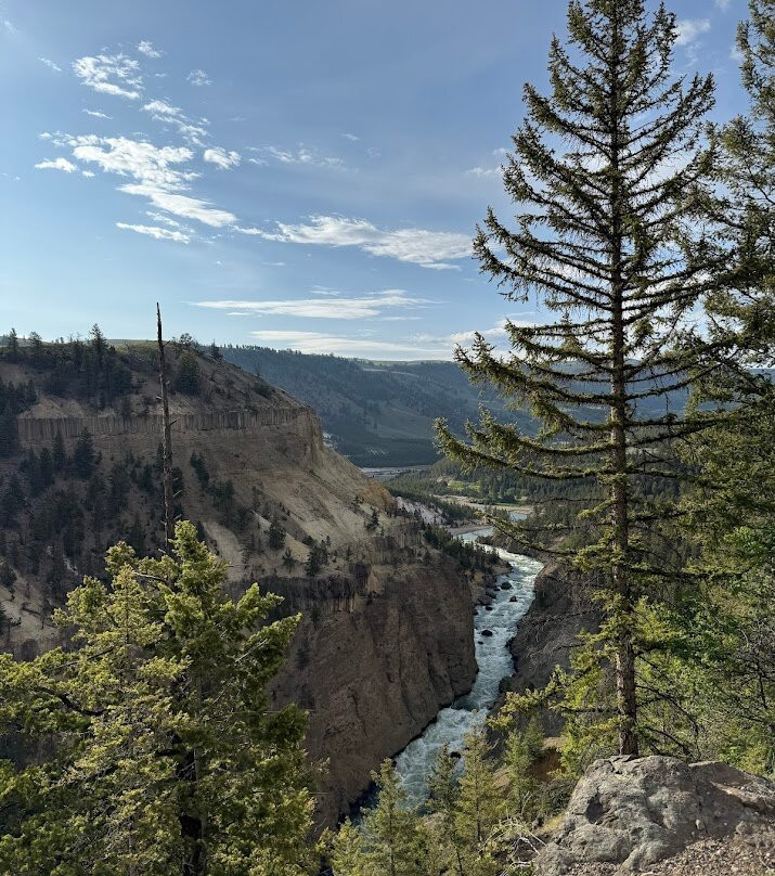 Wake Up to Wildlife Tour-黄石国家公园必去景点