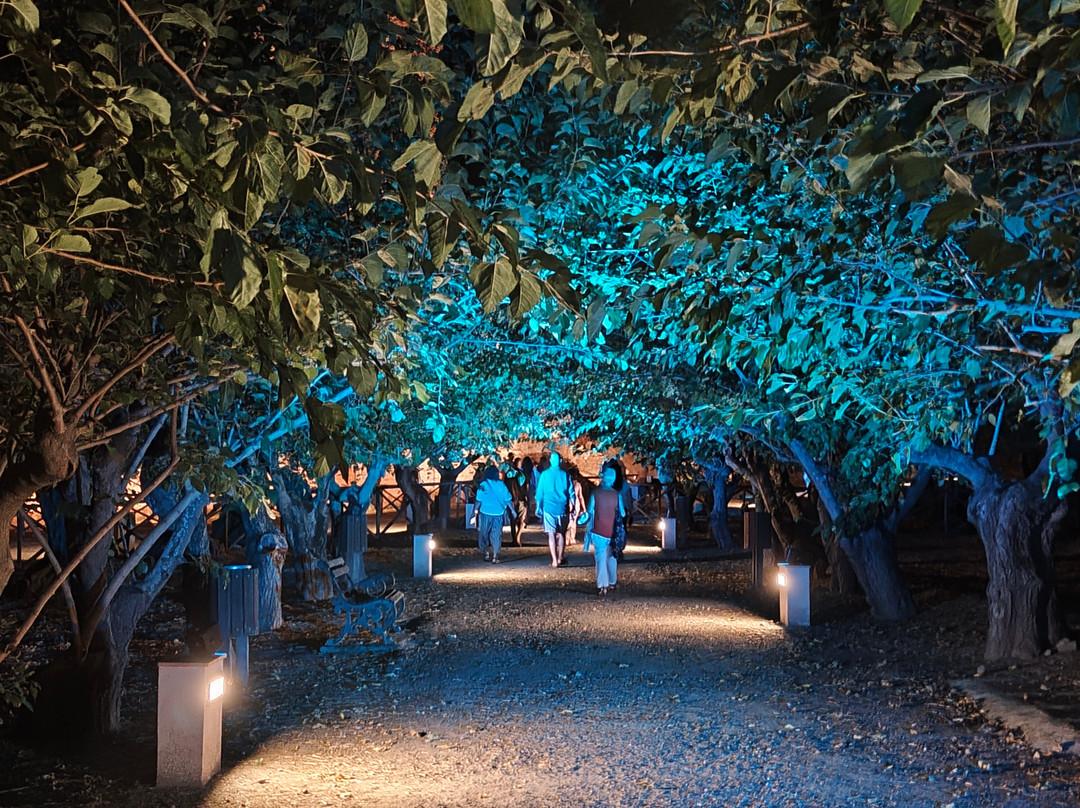 Armonie D'arte Festival-Borgia必去景点