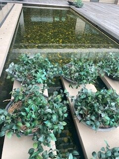 Asbury Ocean Club Hotel主图