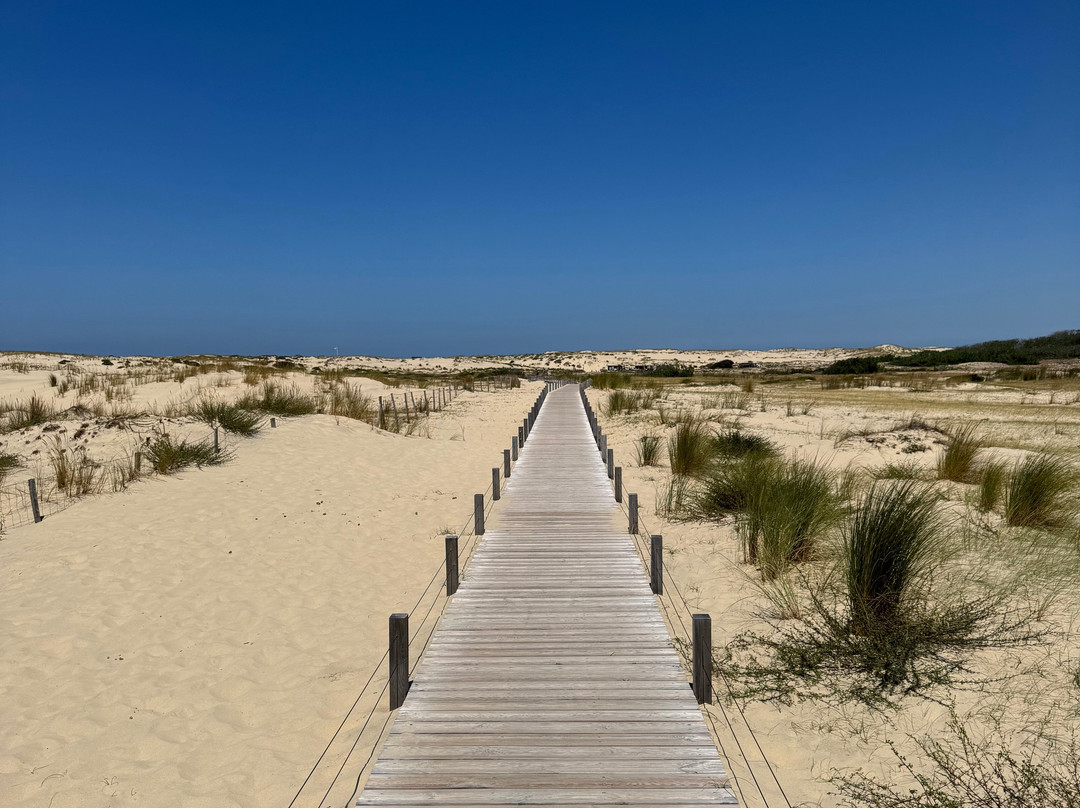 Gang Surf School-比斯卡罗斯必去景点