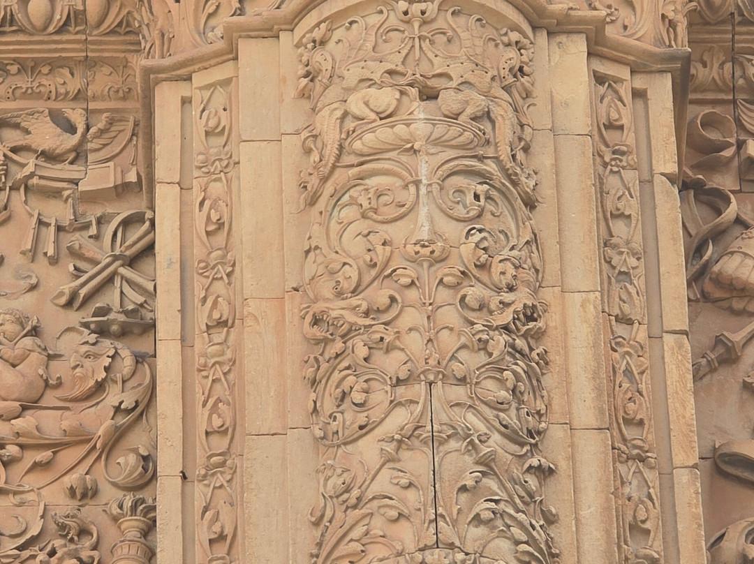 La Rana de Salamanca-萨拉曼卡必去景点