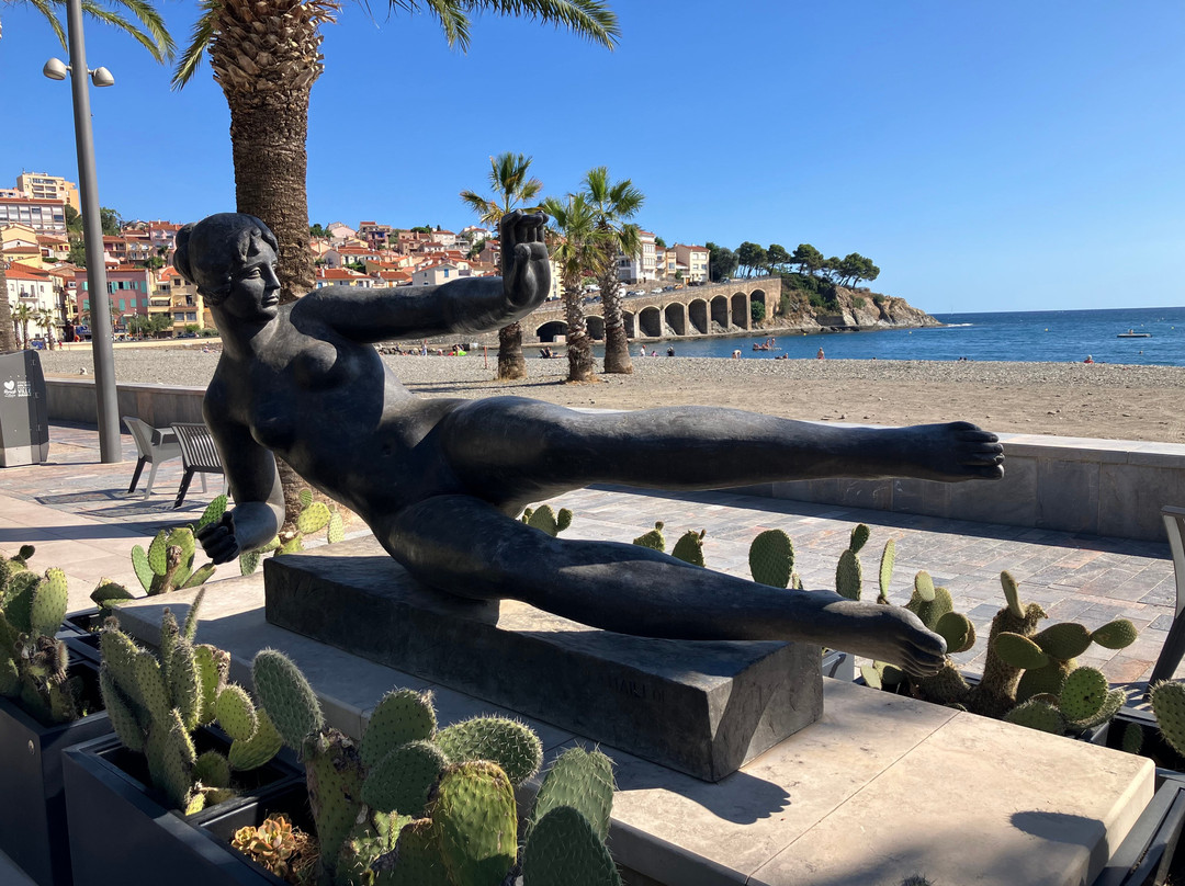 Office De Tourisme De Banyuls-sur-mer