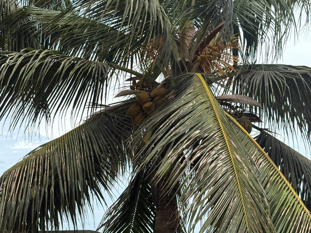 Trincomalee Beach-Trincomalee必去景点