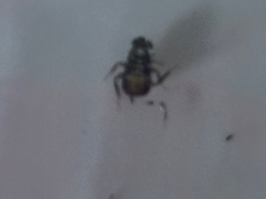 Royal Garden Resort主图