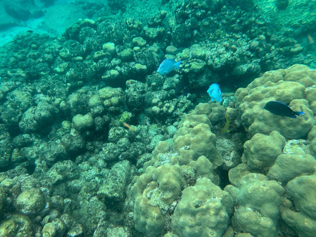 Caraibe Kayak-Bouillante必去景点