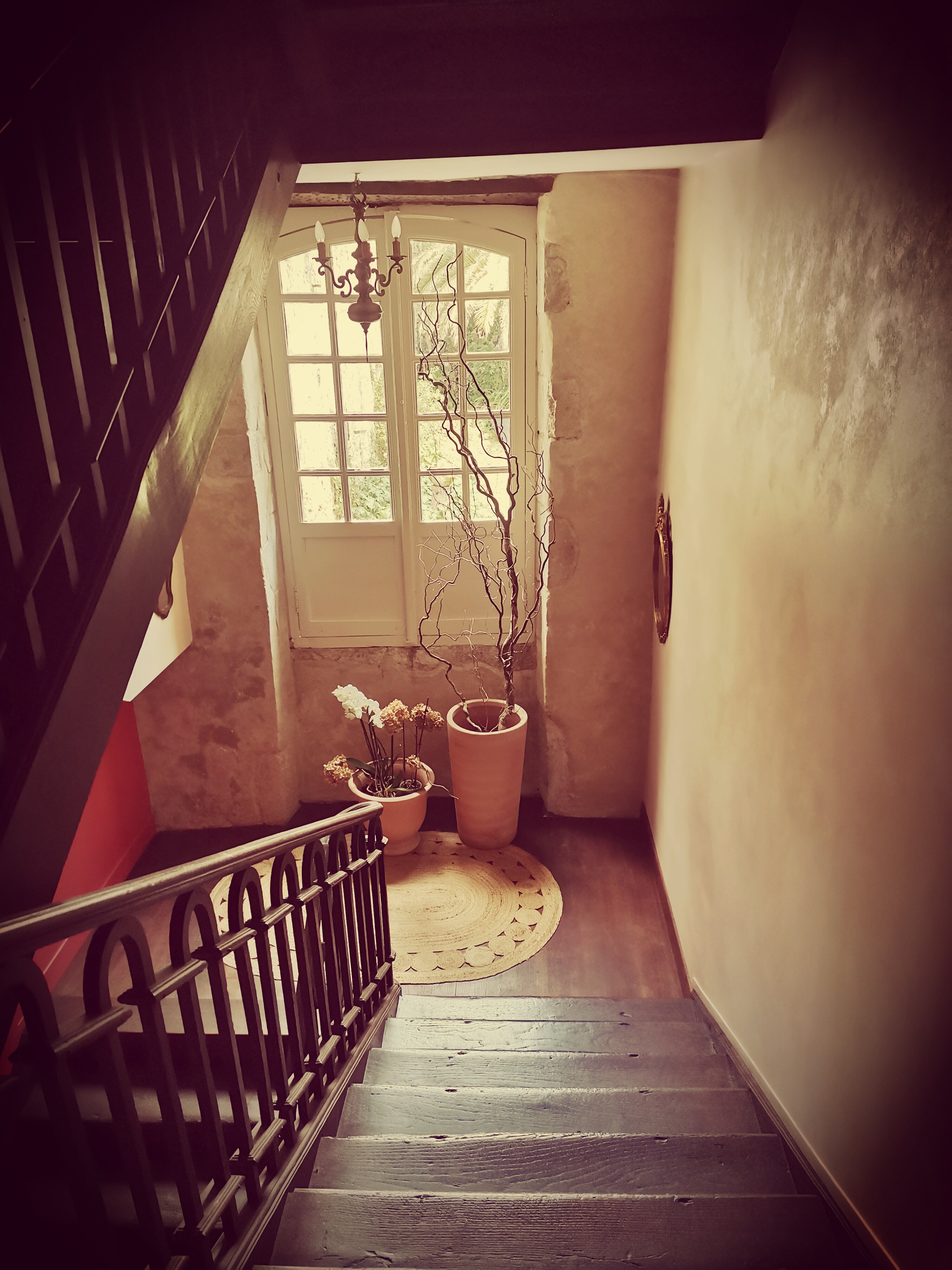 阿罗哈尚布斯德酒店-官方