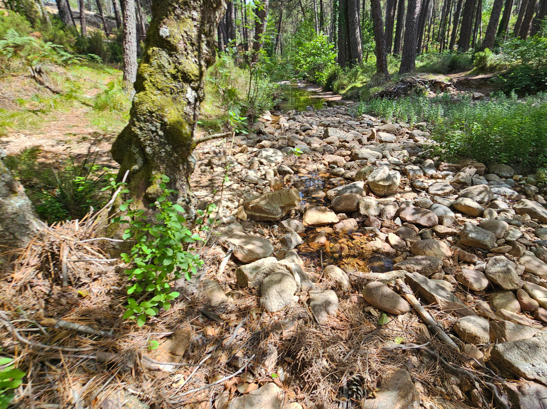 Cascade de Piscia-维琪奥港必去景点