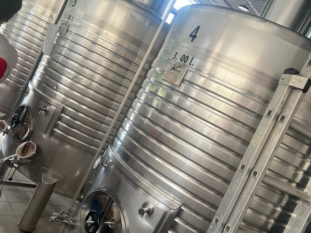 Vinya Son Alegre-Calonge必去景点