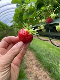 Porth Farm-Caersws必去景点