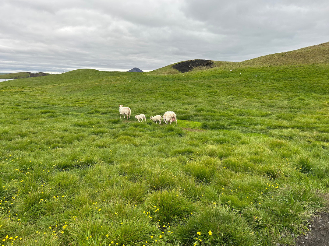 Skútustaðagígar-米湖必去景点