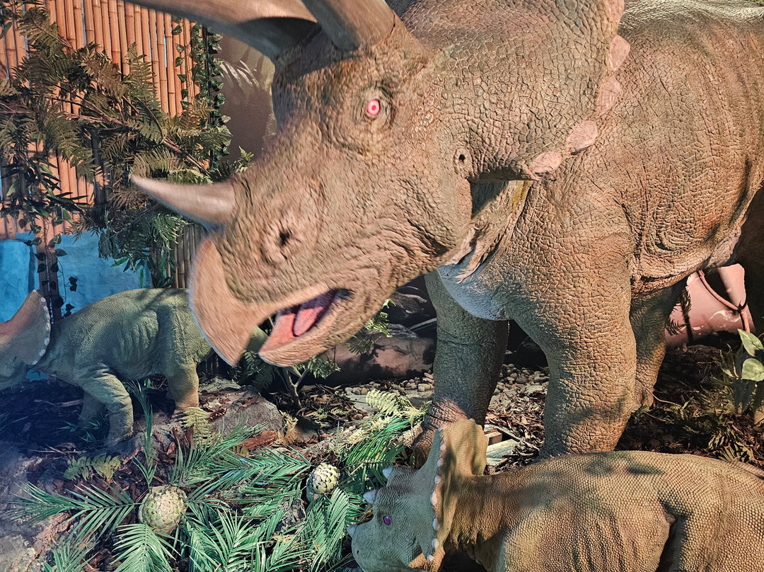 Jurassic Discovery-Seaton必去景点