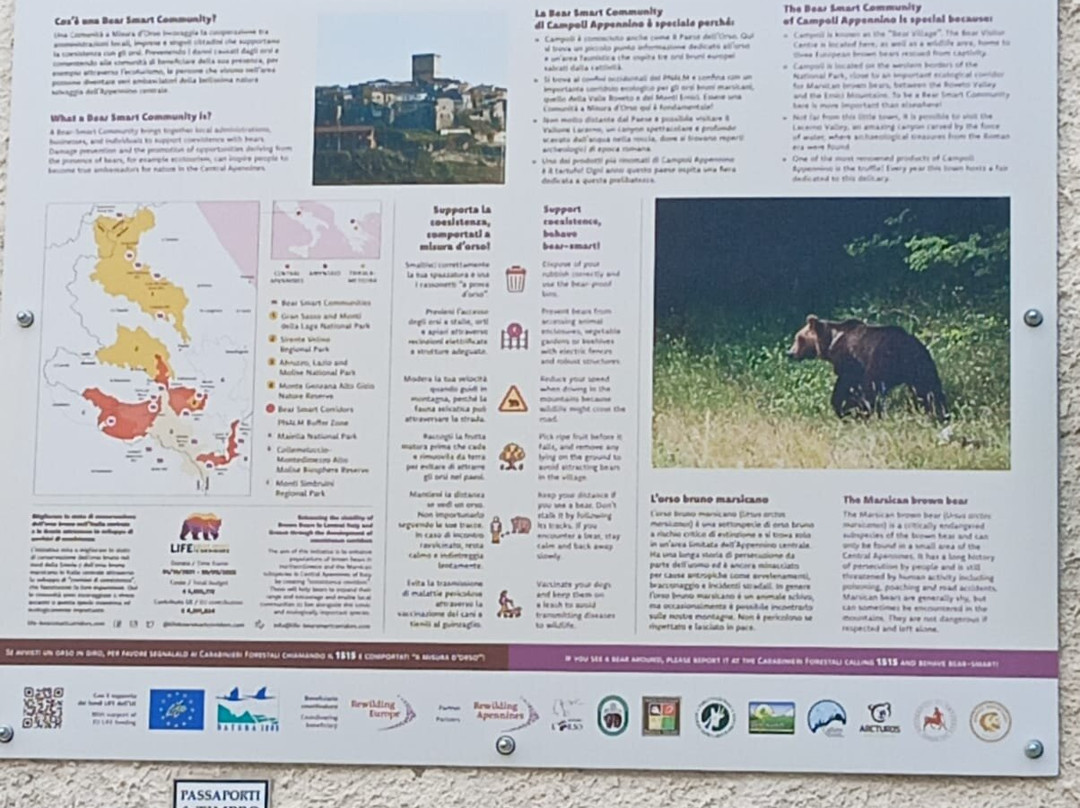 Area Faunistica Orso Bruno Marsicano-Campoli Appennino必去景点