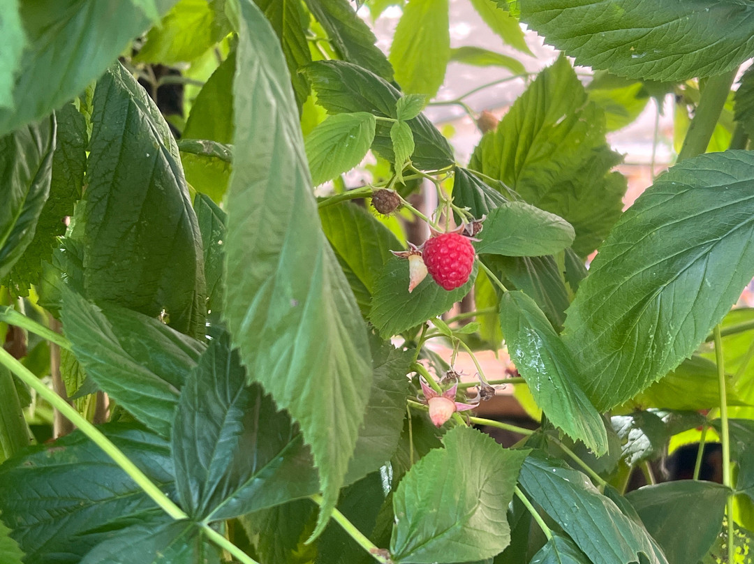 Le delizie di Marianna