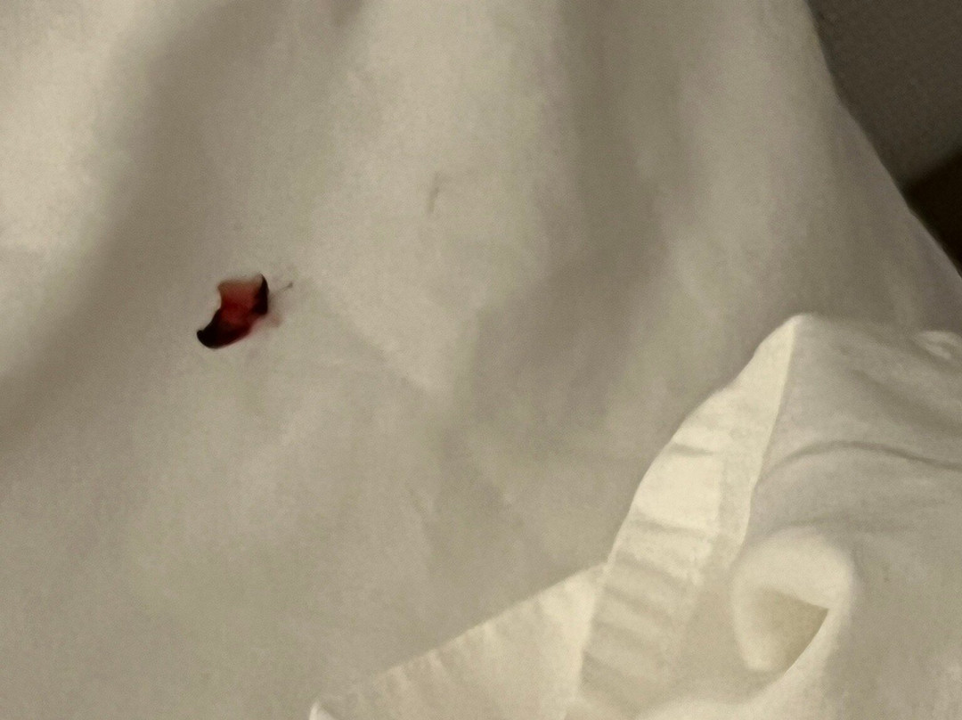 Madison Marriott South主图