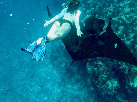 Primal Ocean-La Ventana必去景点