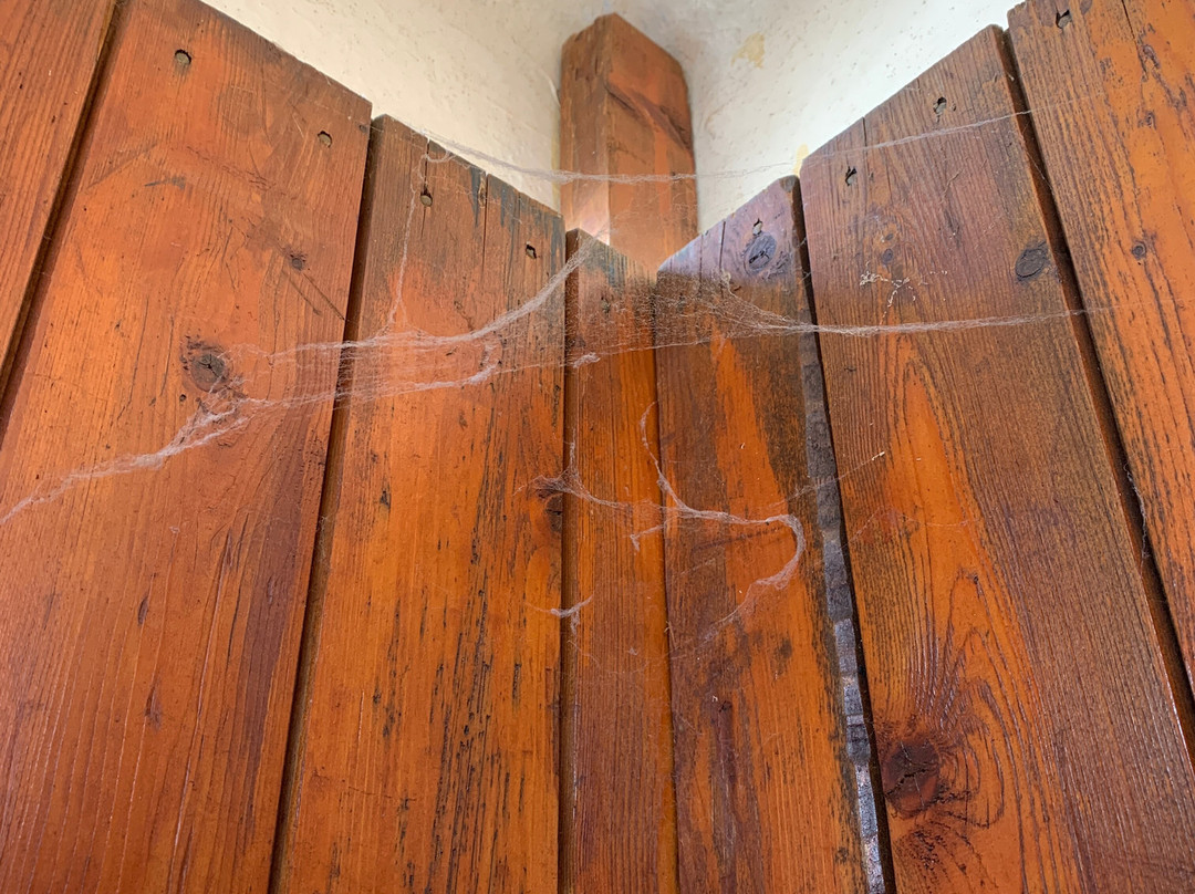 Lido San Matteo-Mattinata必去景点