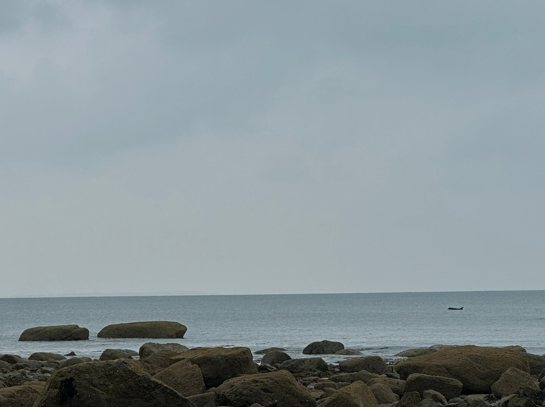 Criccieth Beach-Criccieth必去景点