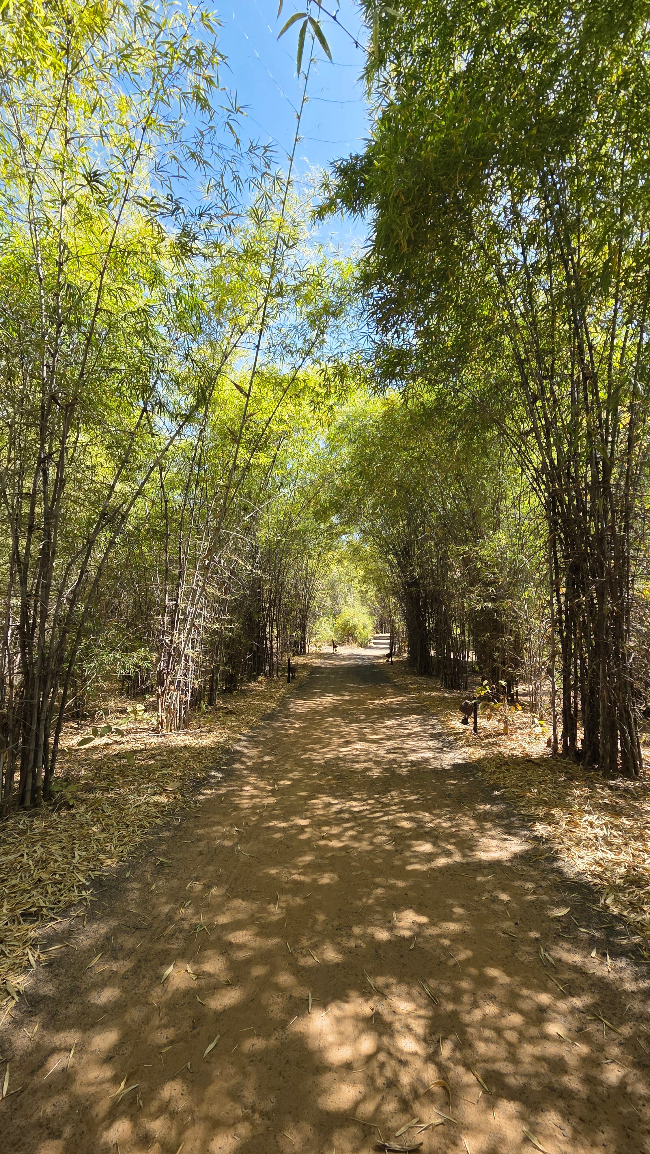 Pugdundee Safaris - Kings Lodge-官方