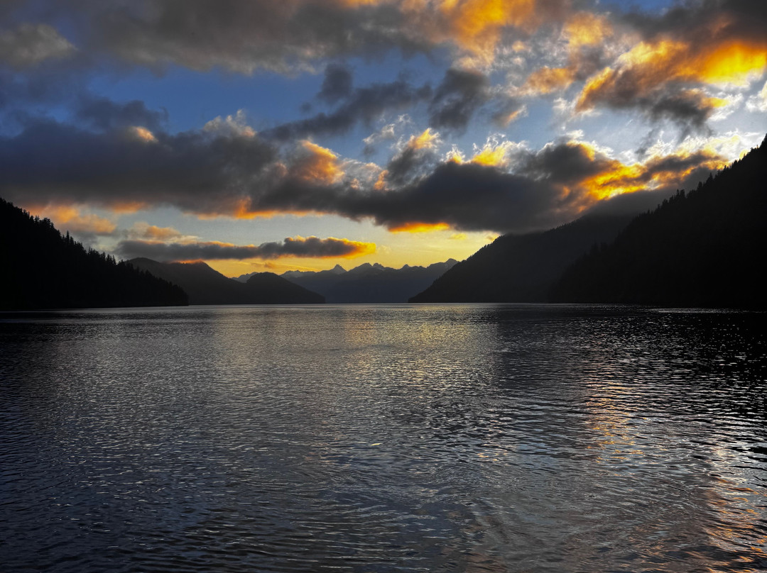 Arctic Fox Adventures-苏厄德必去景点