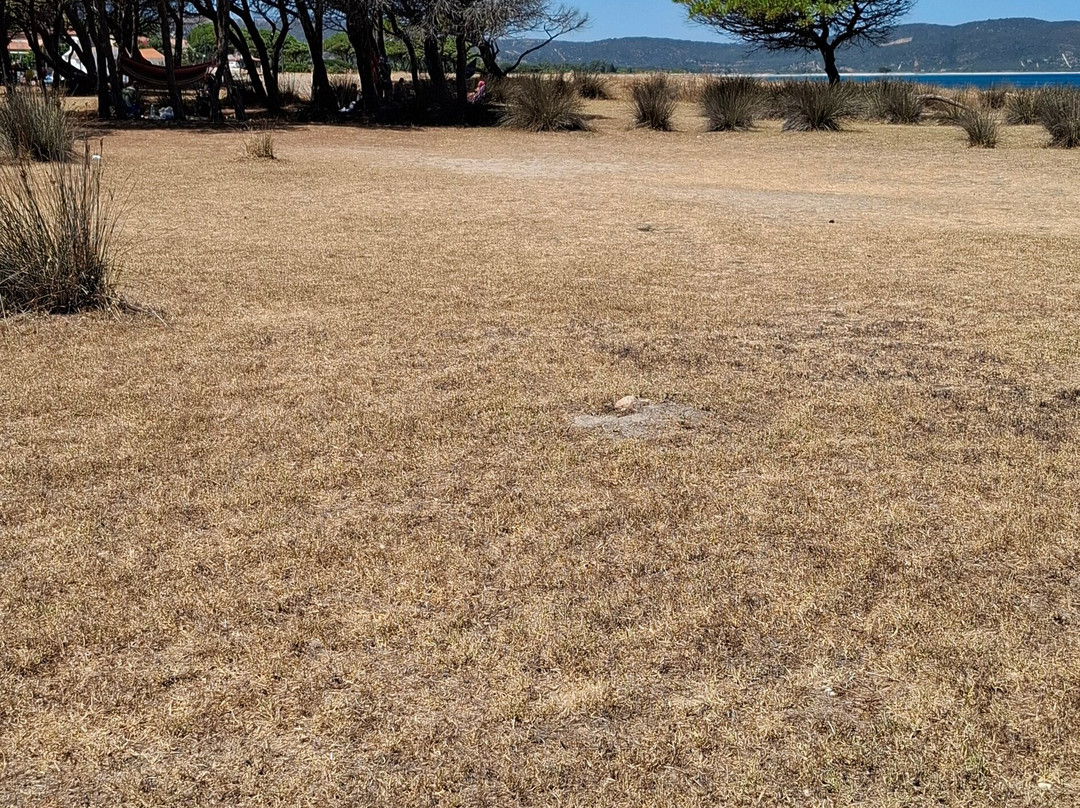 Torre Di San Giovanni